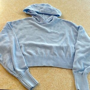 NWOT Offline by Aerie cropped hoodie